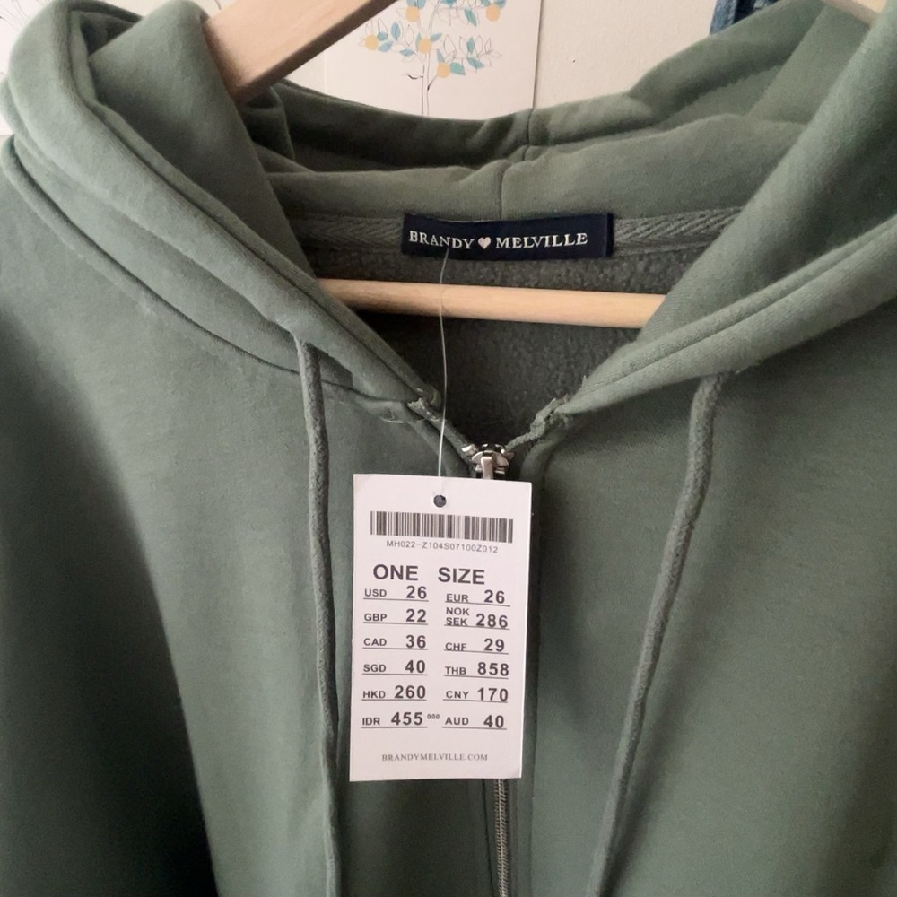 ｛Brandy❤️Melville｝Brand New Christy Hoodie/onesized fit, zip-up - Picture 5 of 10
